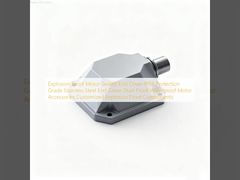 방폭 모터 밀폐형 엔드 커버 IP66 보호 등급 스테인리스 스틸 엔드 커버 방진 방수 모터 액세서리 맞춤형 방폭 부품